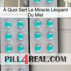 À Quoi Sert Le Miracle Léopard Du Miel 29